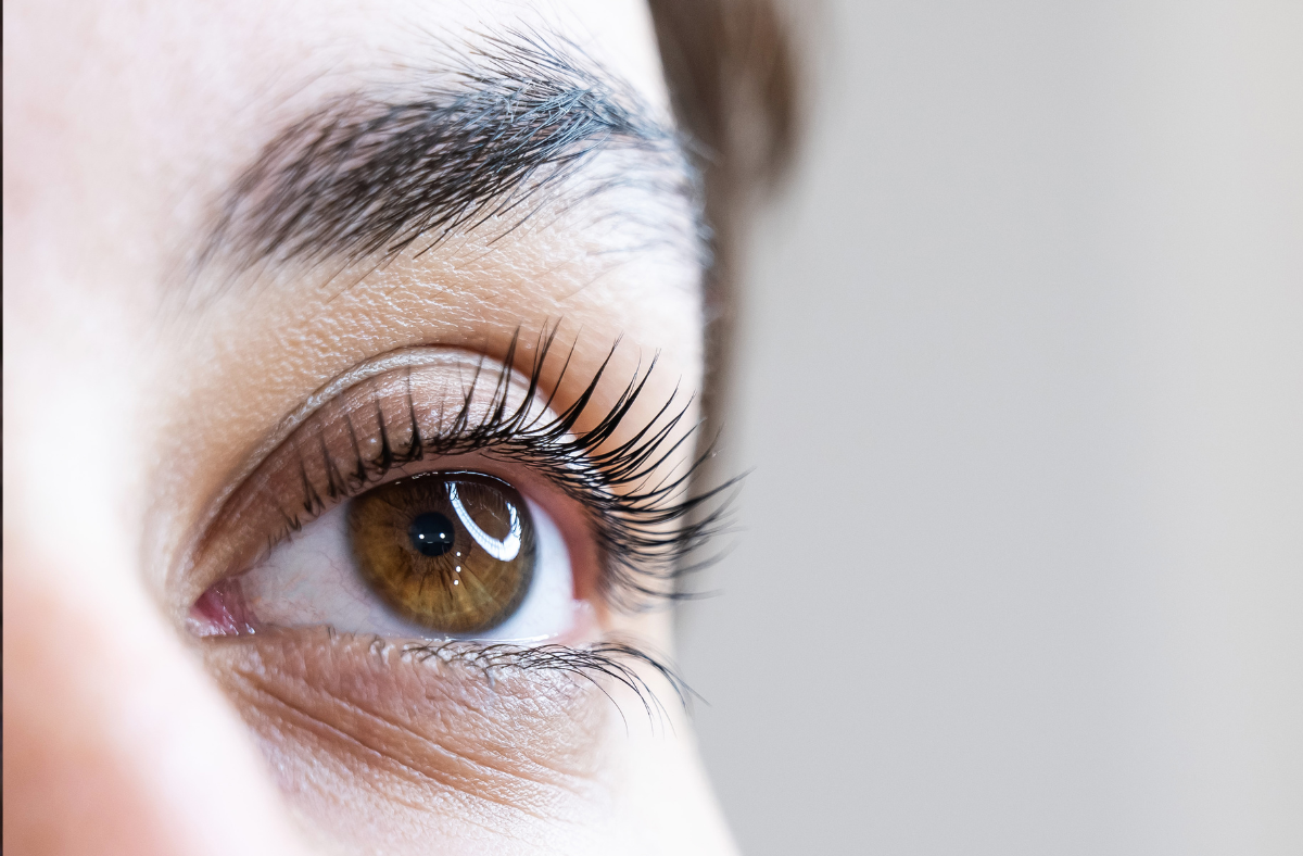 Lash lift pro handleiding met certificaat